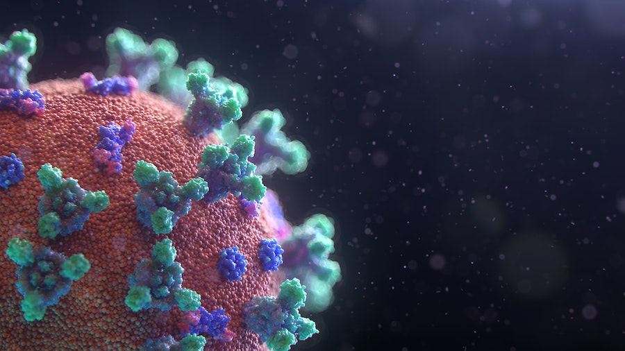 Corona Virus. Photo by Fusion Medical Animation on Unsplash