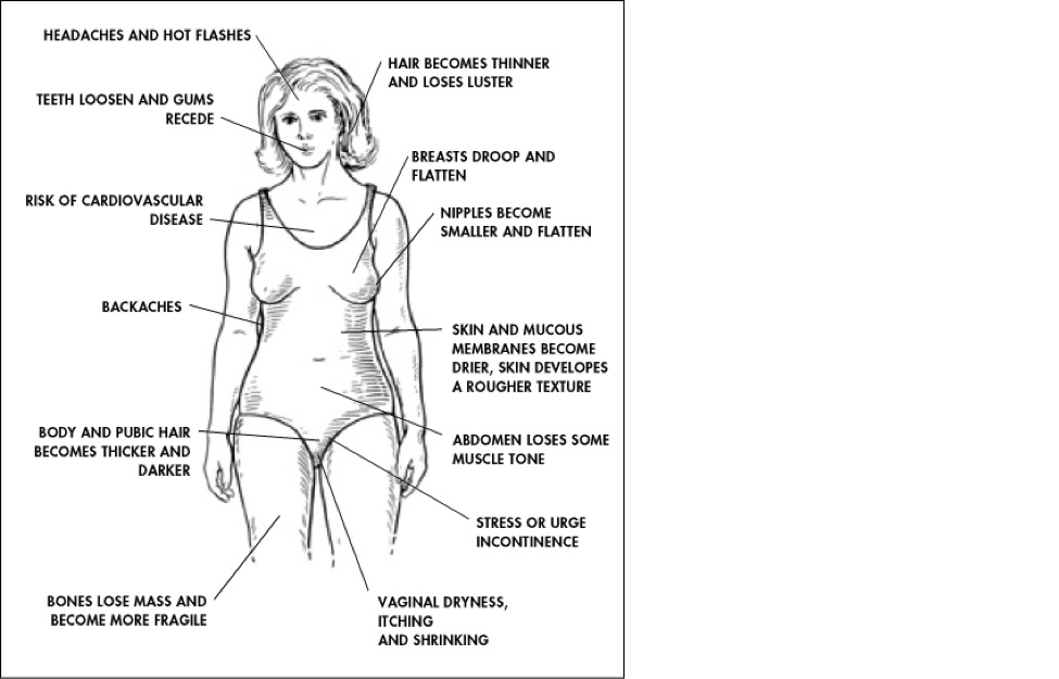 menopause diagram