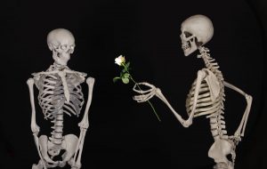Skeleton, bones. Image courtesy https://www.pxfuel.com/