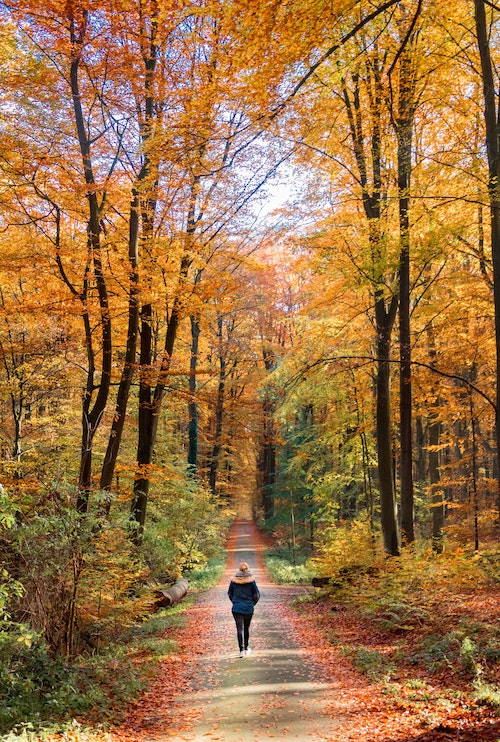 Walking. Photo by Sébastien Goldberg on Unsplash