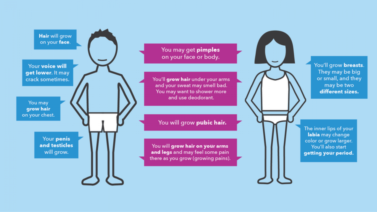 My child entered puberty early, what do I do? - Dr Arpan Bhattacharyya My child entered puberty early, what do I do? - Dr Arpan Bhattacharyya